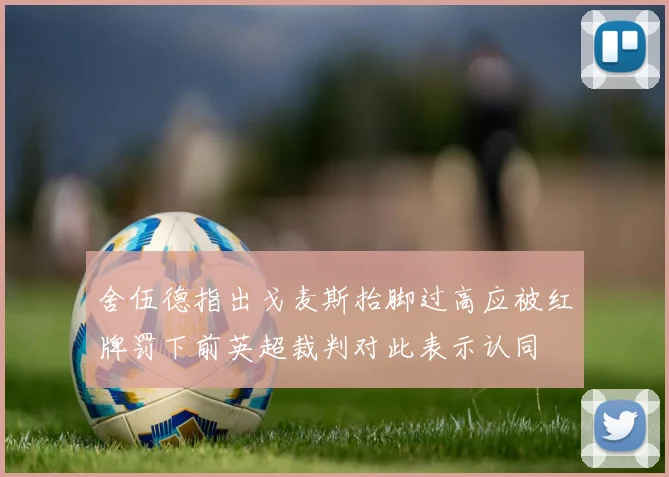 舍伍德指出戈麦斯抬脚过高应被红牌罚下前英超裁判对此表示认同